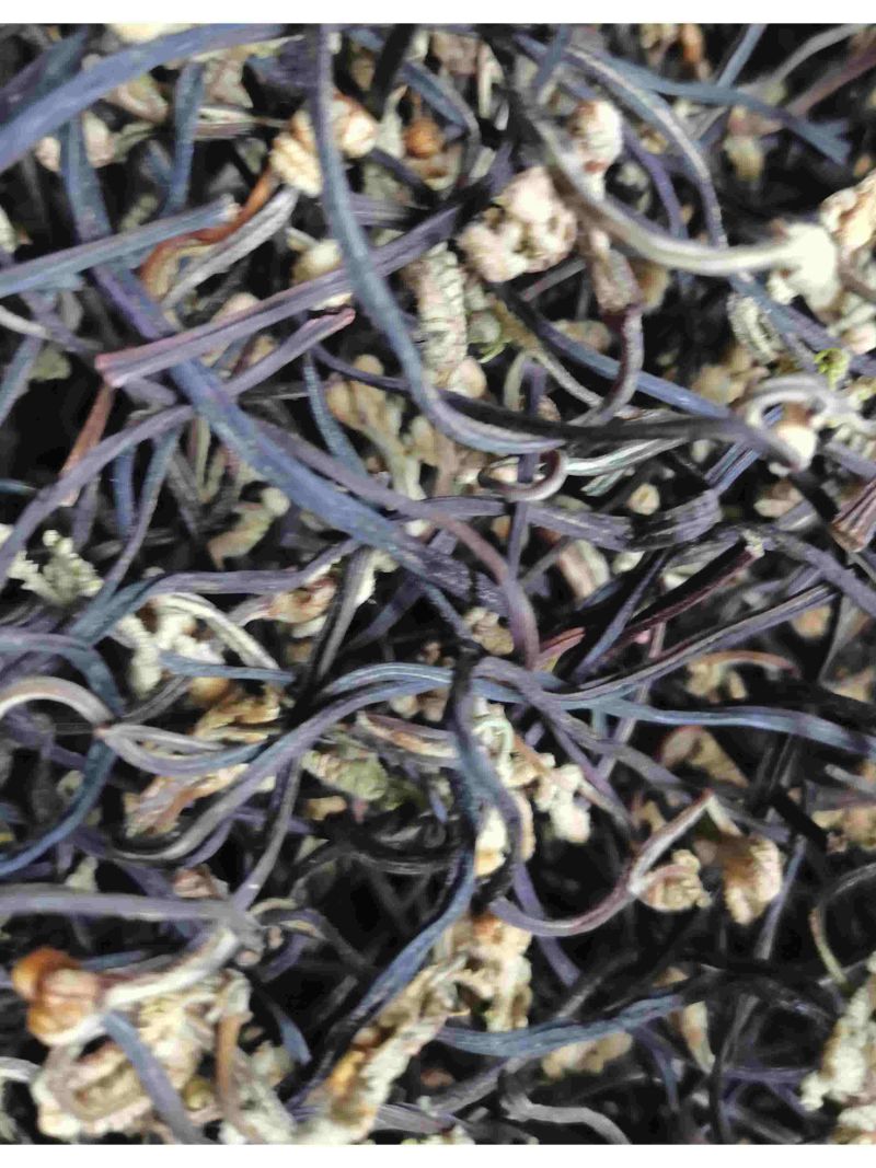 蕨菜干统货