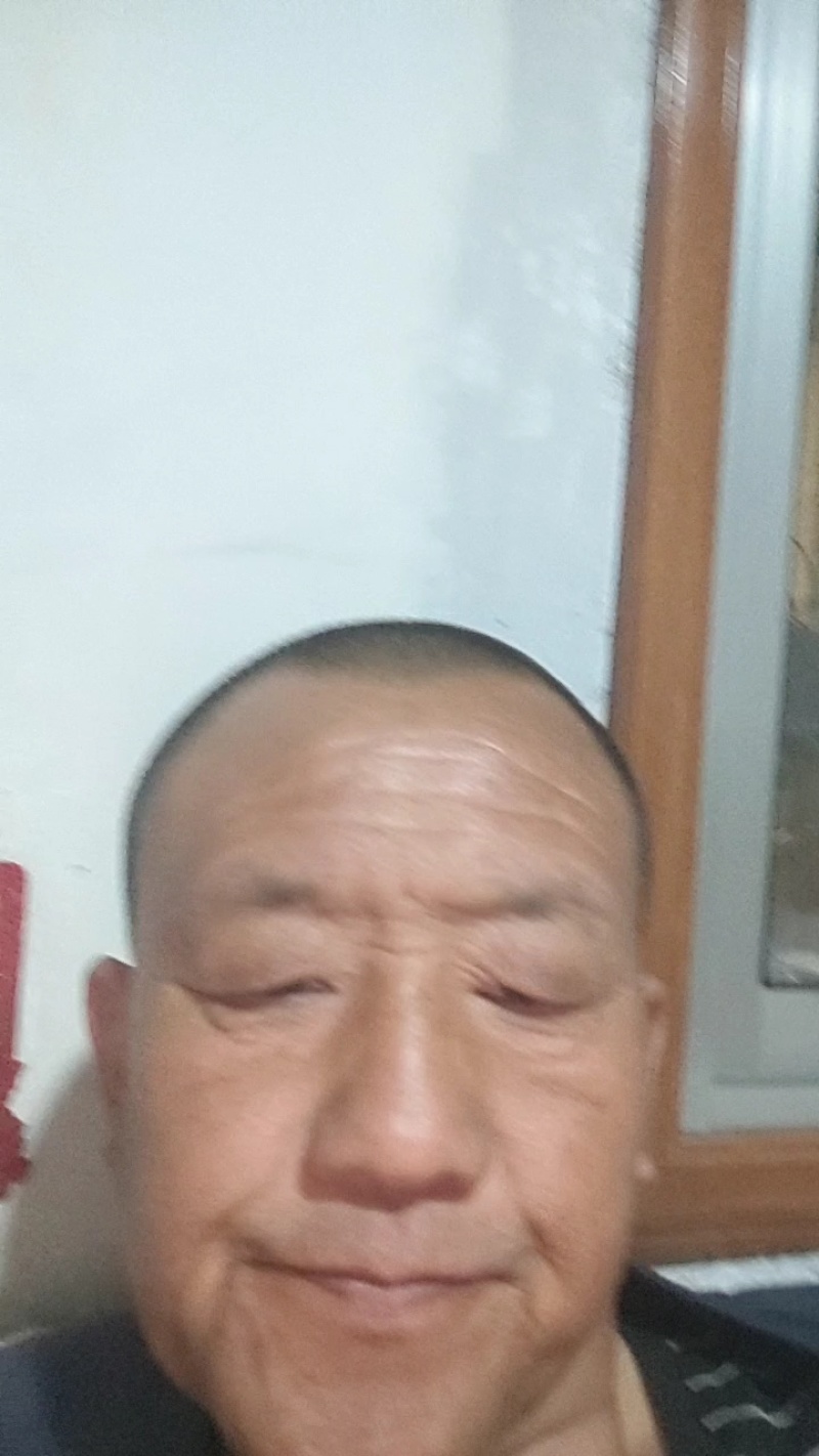 甘肃高山甘蓝大量上市量大质优产地直发欢迎来电订购！