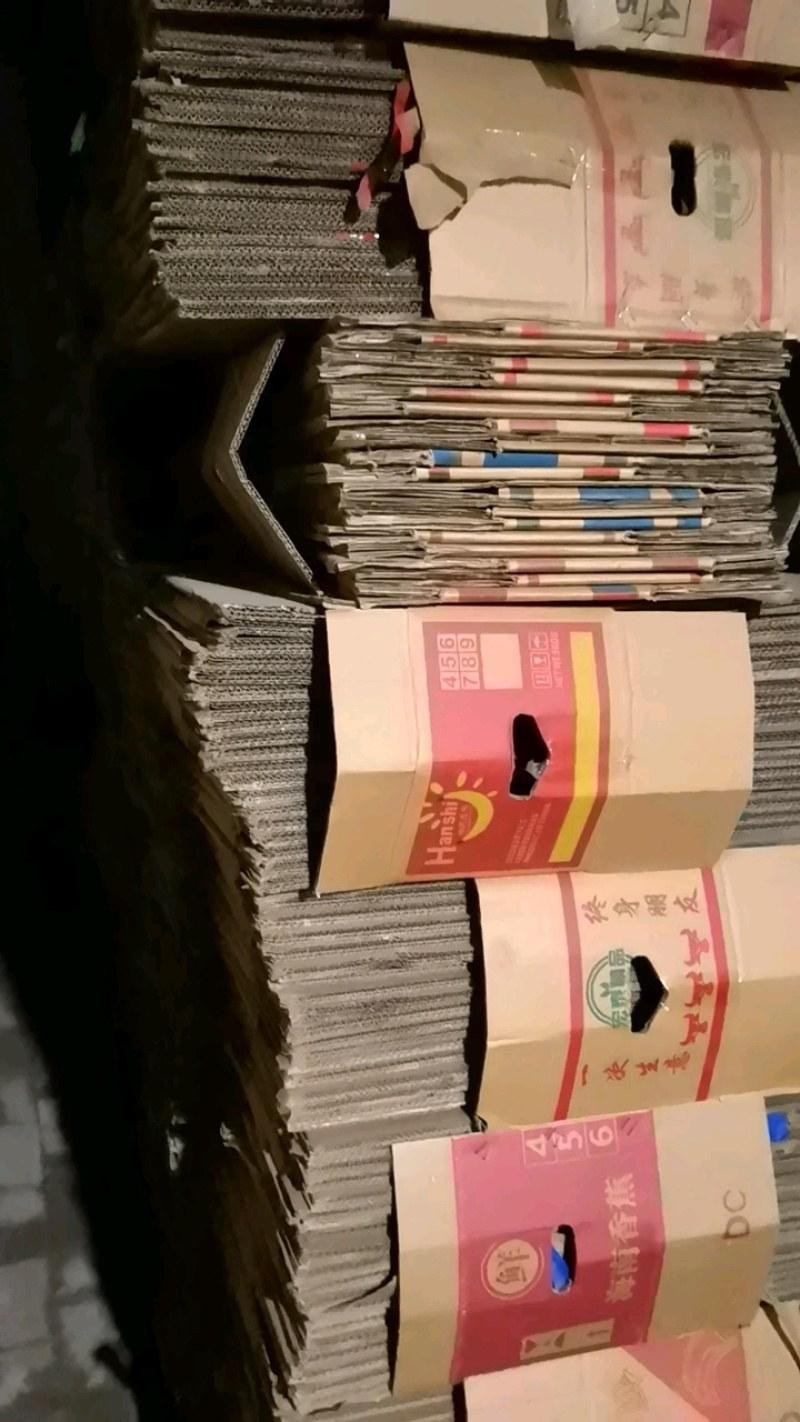 废旧纸板堆场实拍，地面水渍清晰可见