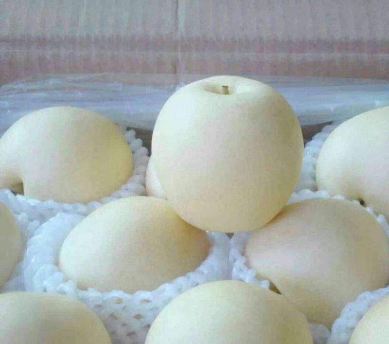 皇冠梨250~300g纸箱