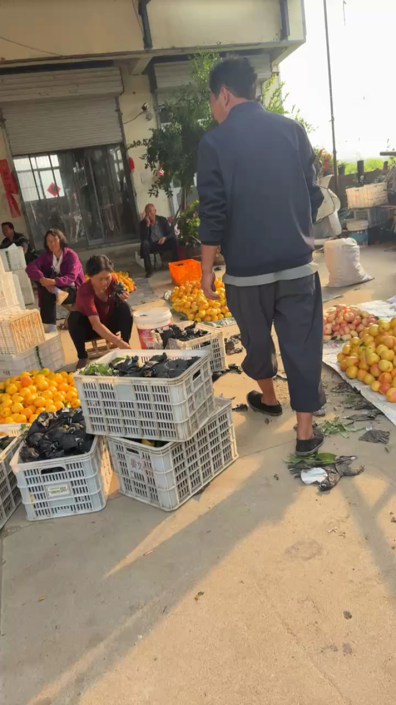 黄油桃，对接全平台电商供应链，一手货源一手价格一件代发