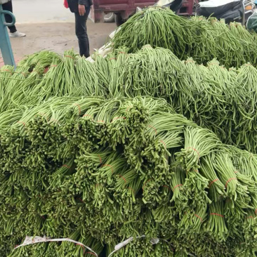 陕西西安长豆角露天豇豆，豆角品质好价格低量大