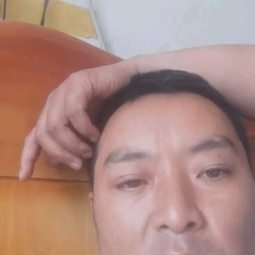 大口鲶