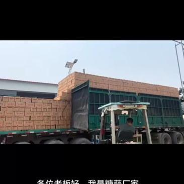 糖蒜一件代发糖醋蒜泡菜咸菜酸甜脆爽精挑细选山东新鲜大蒜