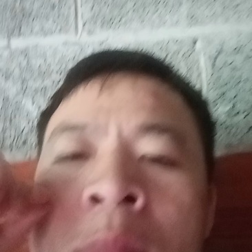 百花蜜，纯蜂蜜******