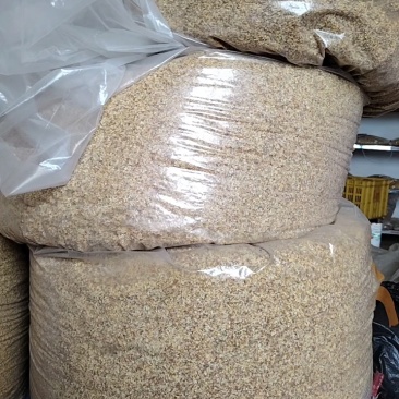 广西精品新鲜干桂花桂花干农副干货大量现货