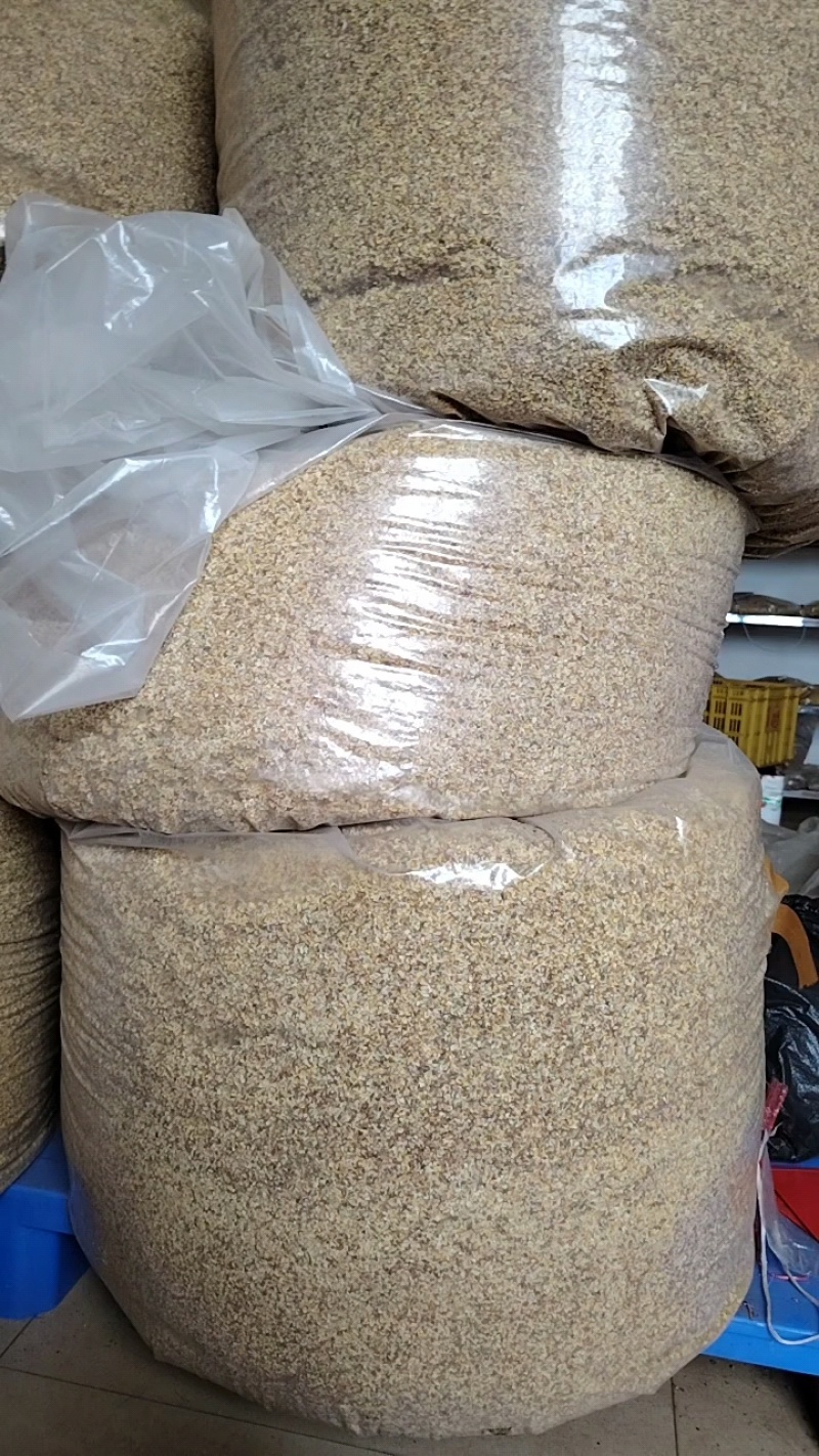 广西精品新鲜干桂花桂花干农副干货大量现货