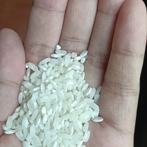 纯桂朝米，硬度高，肠粉，米粉专用，免费寄样