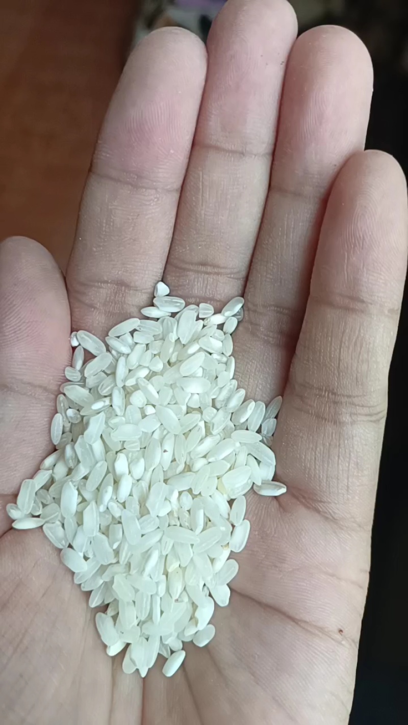 纯桂朝米，硬度高，肠粉，米粉专用，免费寄样