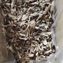 精品鹿茸菇