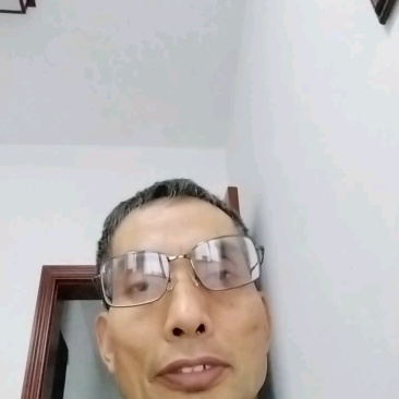 茶叶