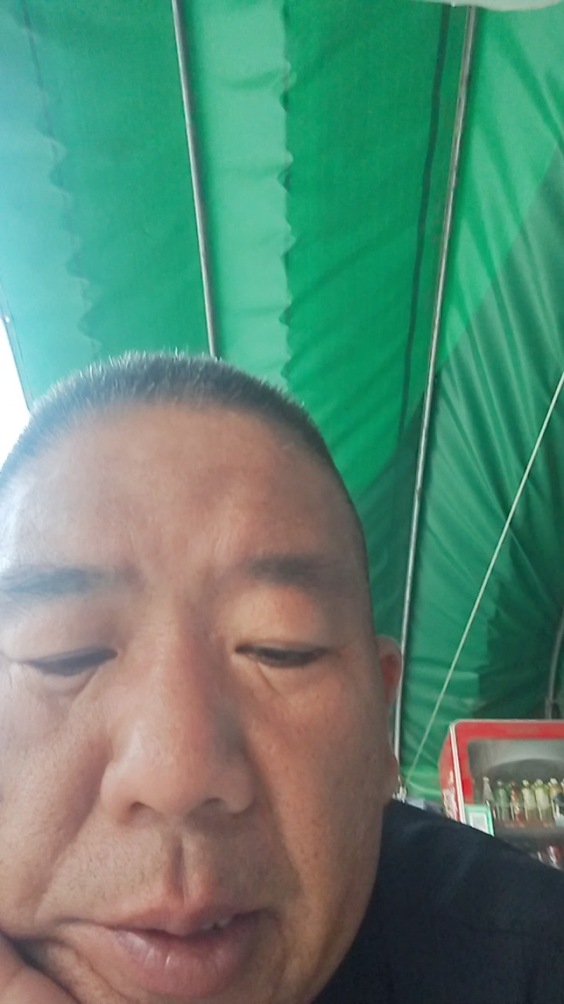 精品黄皮线椒，条直不弯曲大量上市，产地直销。