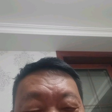 杏鲍菇干片