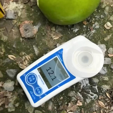 【精选】酥脆一号梨大量上市口感好。含糖量高。可代发全国。