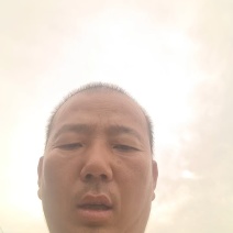 邯郸甘蓝产地直发保质保量大量有货全国代发欢迎选购