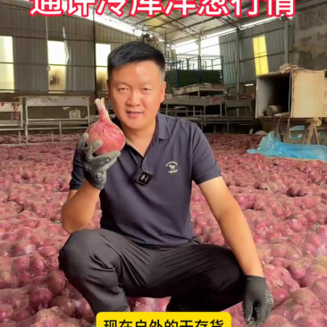 加工厂洋葱，价格给价就卖