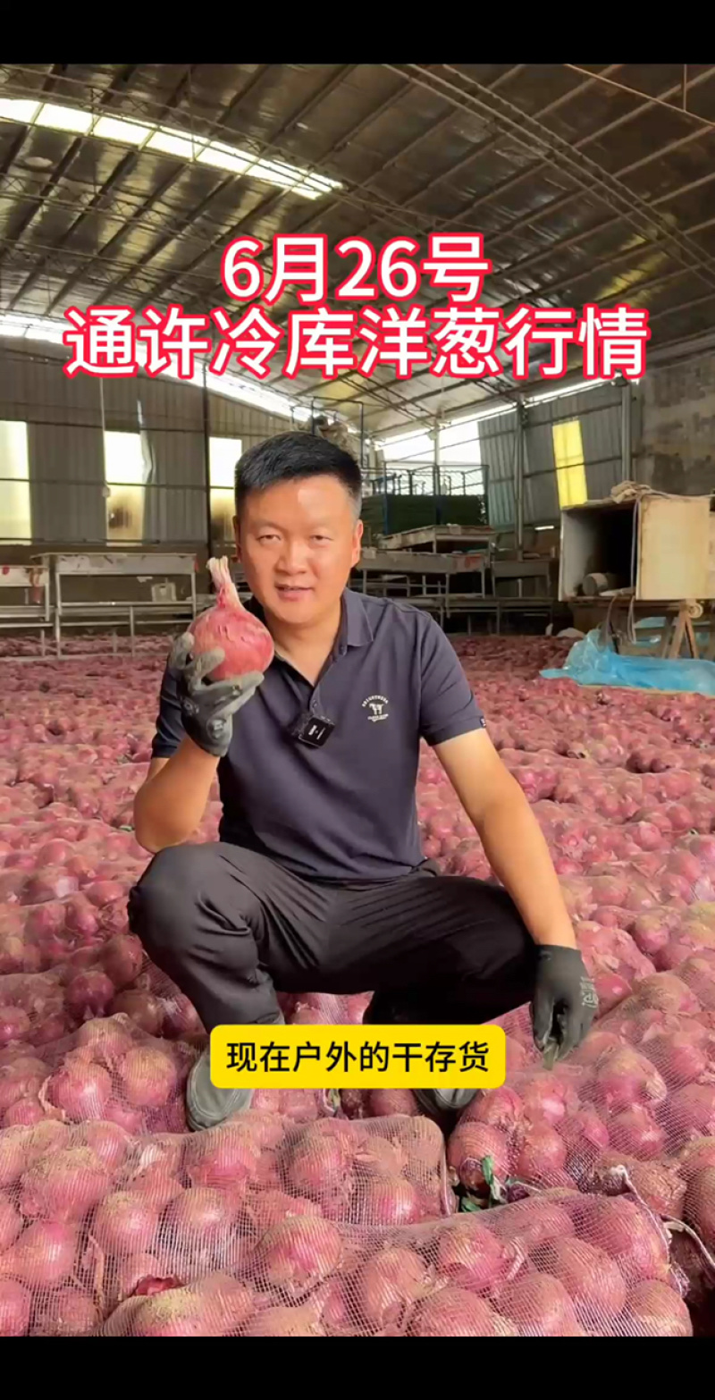 加工厂洋葱，价格给价就卖