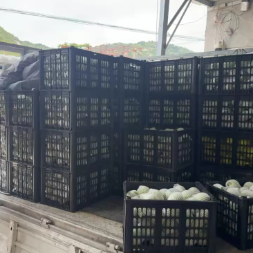 来自沂蒙山产地精品辽富苹果口感纯甜