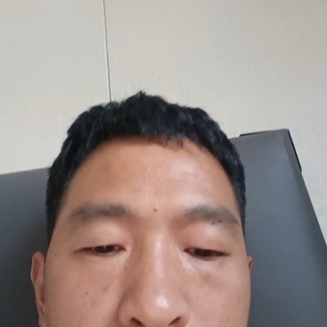 优质山东金乡大蒜种子