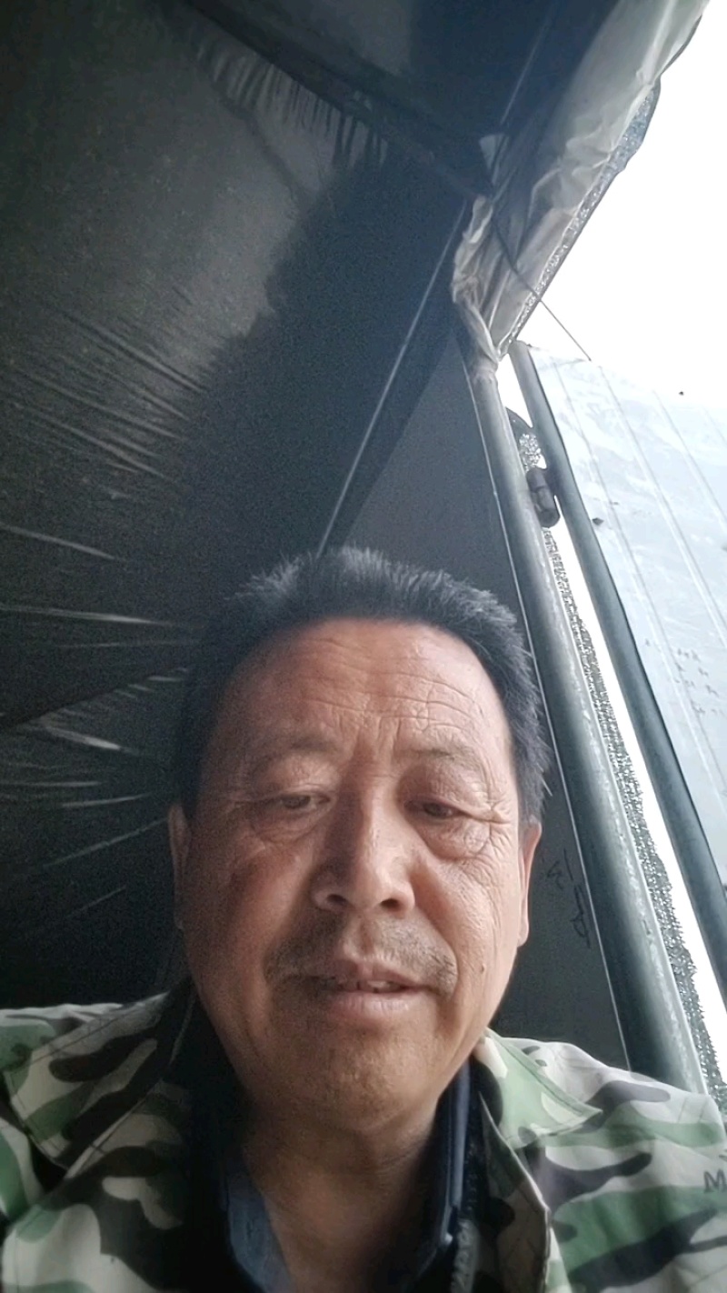 松蘑腿，质优价廉，有需要的来