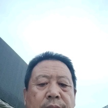 松蘑，滑子菇，杏鲍菇大片根片，香菇