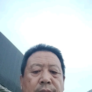 松蘑，滑子菇，杏鲍菇大片根片，香菇