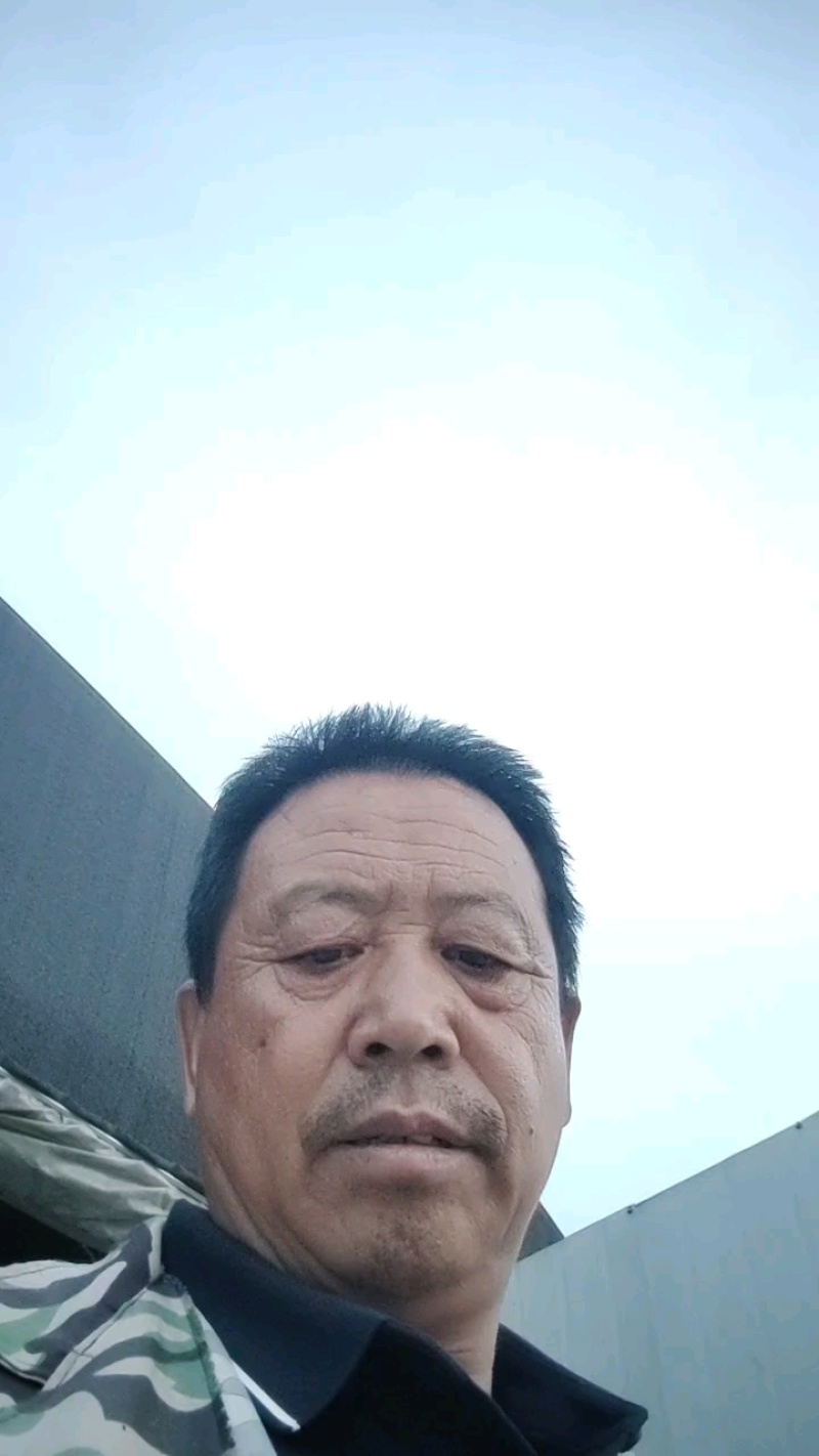 松蘑，滑子菇，杏鲍菇大片根片，香菇