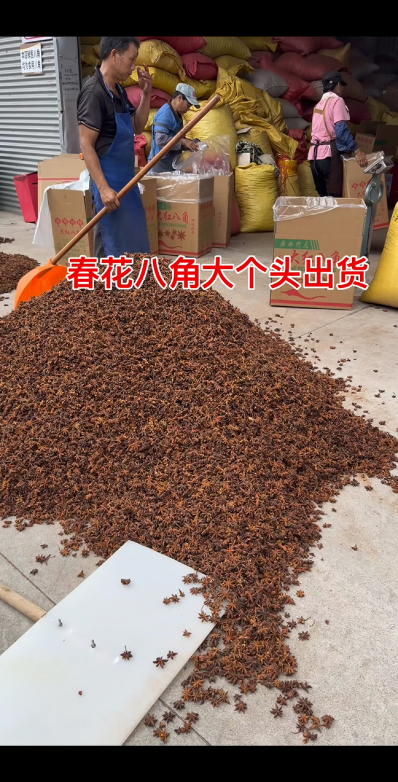 【广西玉林】大红八角八角足干无硫一手货源产地直发