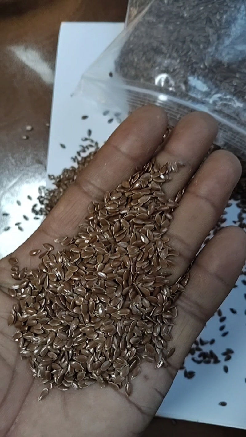 俄罗斯亚麻籽产地直发量大从优运费商议可视频看货