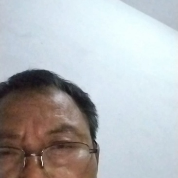 毛尖茶高品质包邮镇安特产精品礼盒装茶叶欢迎咨询选购