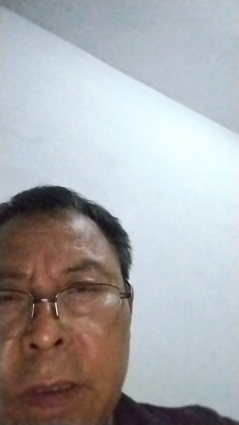 毛尖茶高品质包邮镇安特产精品礼盒装茶叶欢迎咨询选购