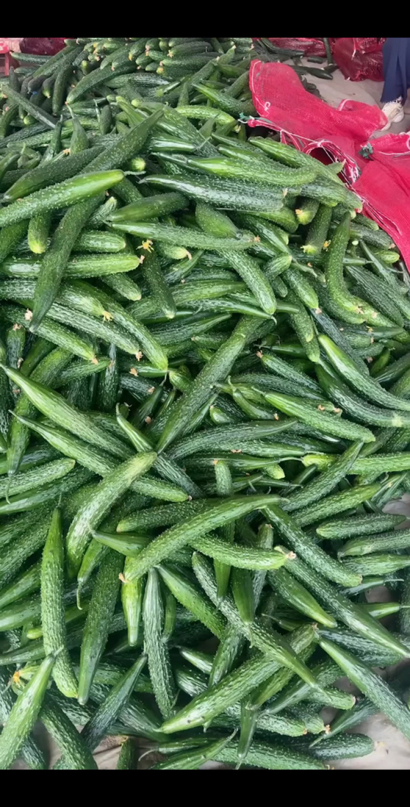 山东密刺黄瓜干花带刺代发全国一手货源欢迎咨询采购