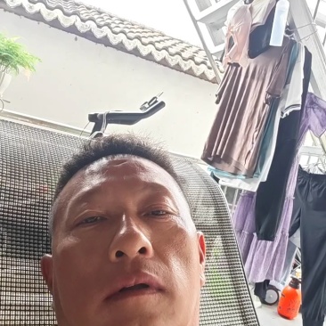 竹荪基地直发品质保证诚信经营量大从优欢迎来电
