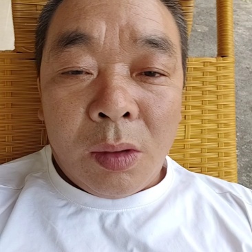 高山种植翠香猕猴桃
