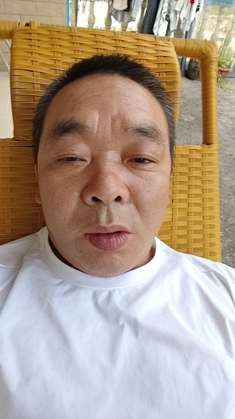 高山种植翠香猕猴桃