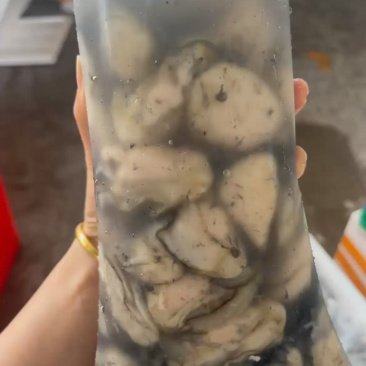 蚝肉生蚝肉海蛎肉牡蛎肉蚵仔煎蚝蛋烧原产地直发