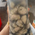蚝肉生蚝肉海蛎肉牡蛎肉蚵仔煎蚝蛋烧原产地直发