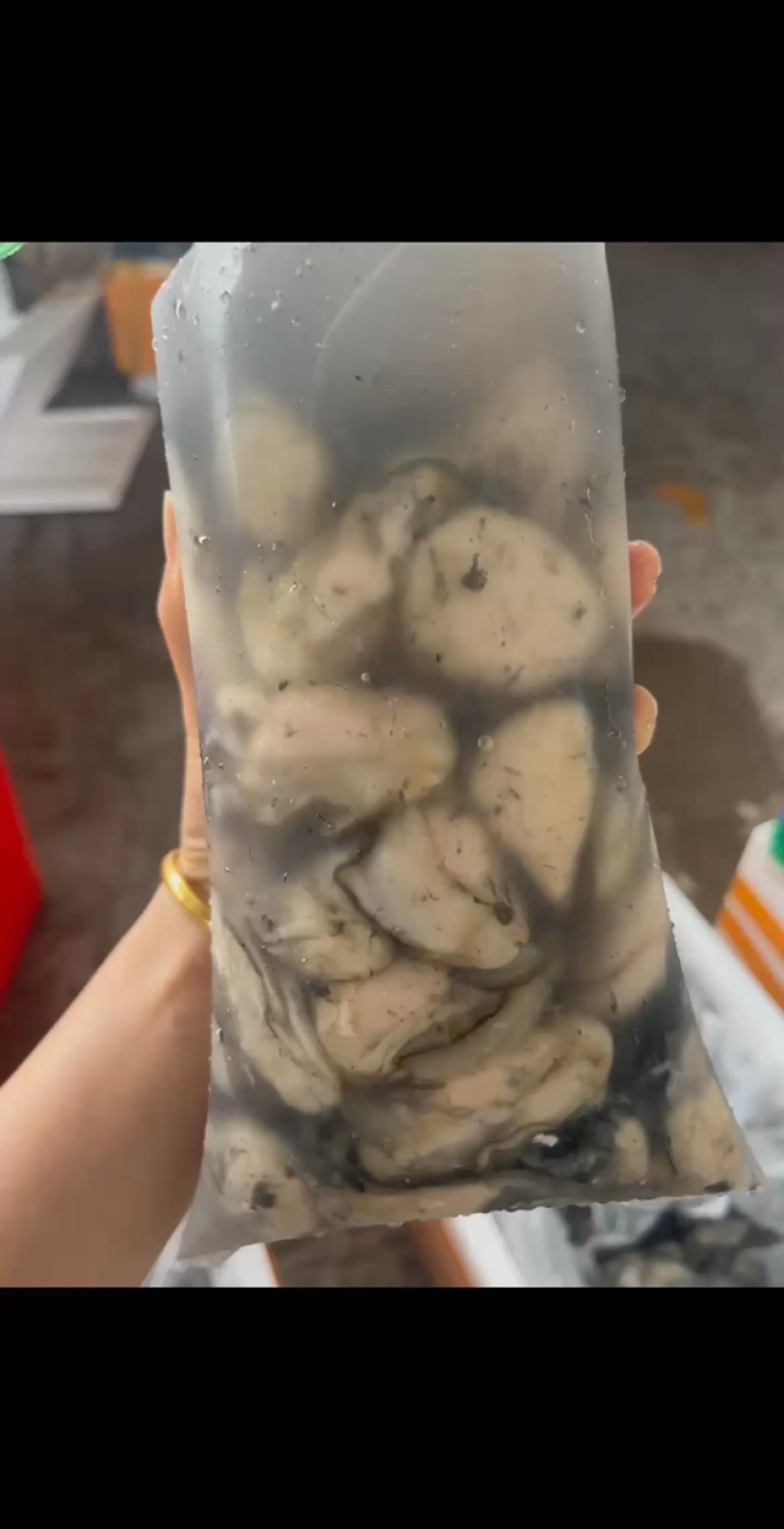 蚝肉生蚝肉海蛎肉牡蛎肉蚵仔煎蚝蛋烧原产地直发