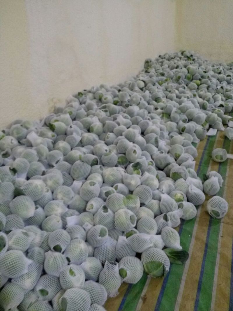 白花菜花1斤紧密乳白