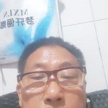 金堂黑山羊，30一50斤的种公种母育肥羊品类齐全视频选羊