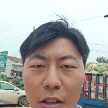金城五号石头瓜大量上市瓤口红糖度高保质保量