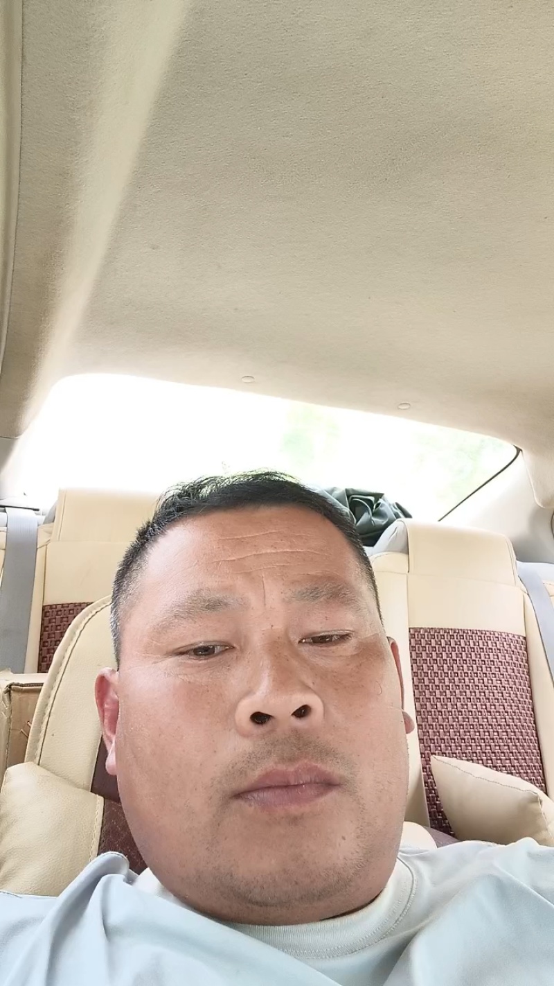 黄心大大白菜产地直发质量三包，一手货源