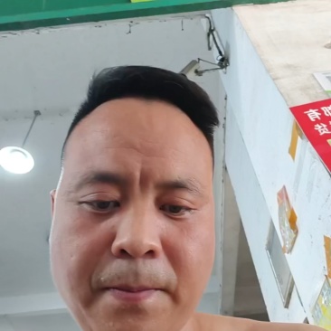 台湾高雄4号青丝瓜。