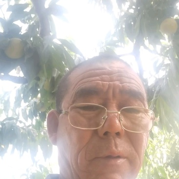 砀山酥梨感酥脆皮薄肉多个头大，价格实惠一首货源代发全国