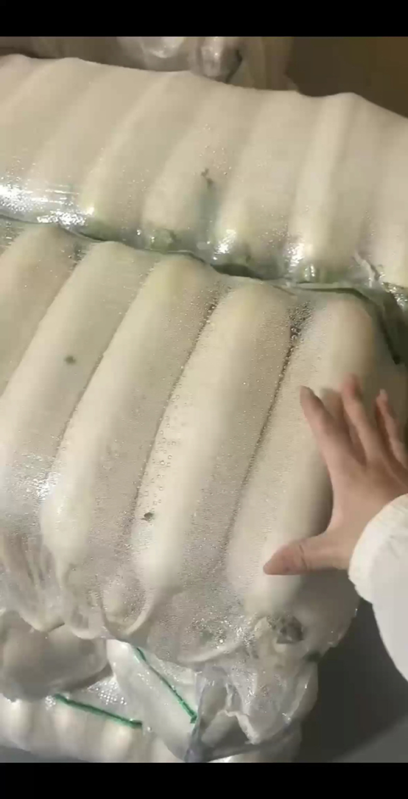 湖北天门白萝卜/产区直发/大量有货/货源充足/欢迎购买