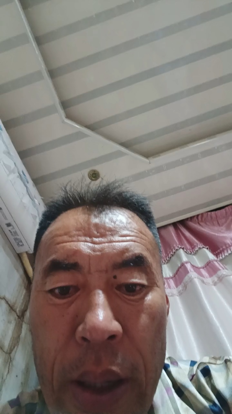 暧棚茉莉香大量现货
