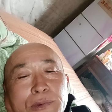 电商玉菇大量现货要联系