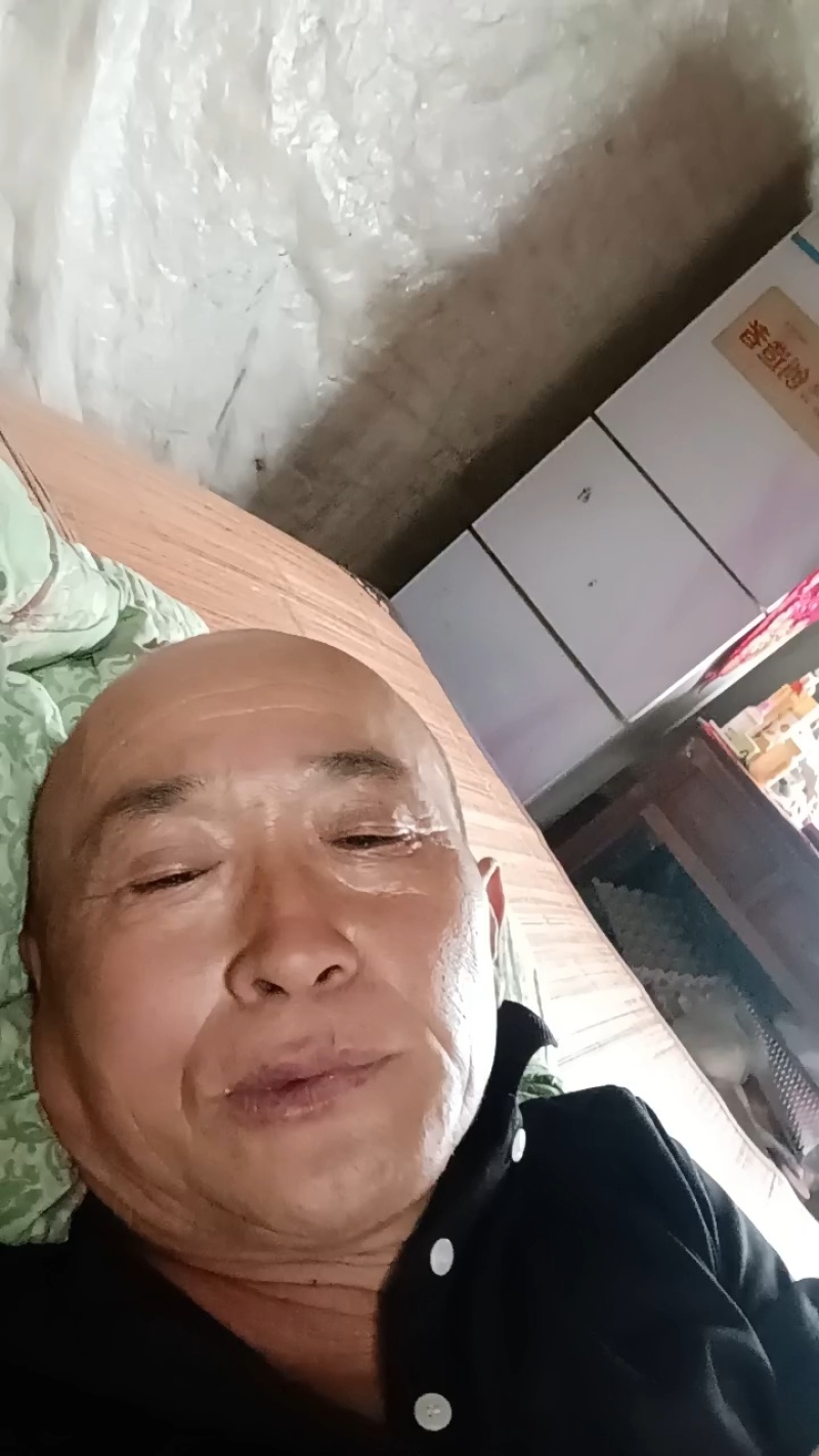 电商玉菇大量现货要联系