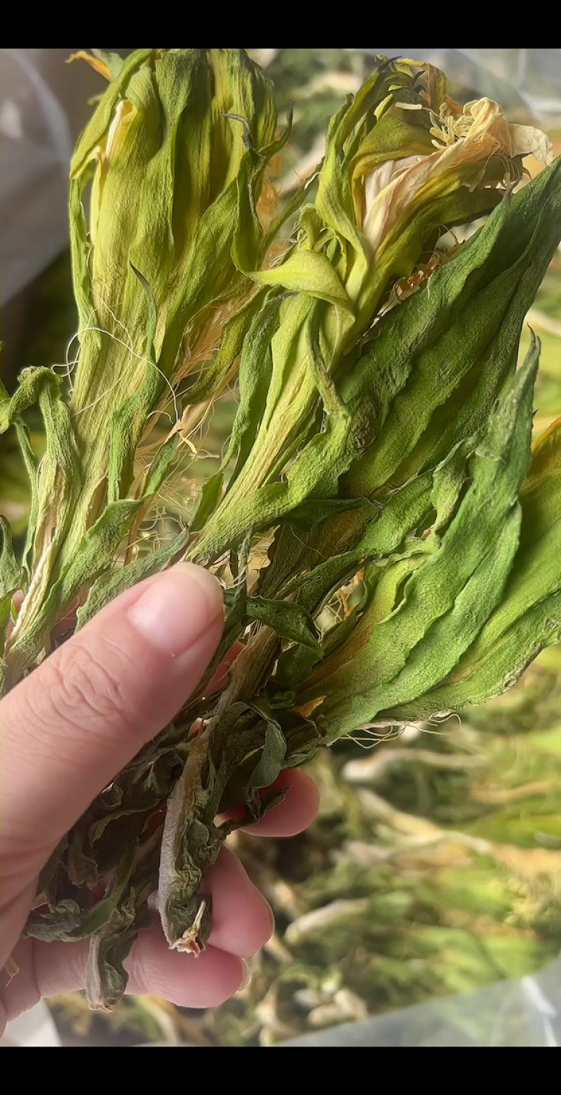 霸王花地摊电商批发剑花干干剑花霸王花干