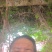 甘肃二红洋葱大量供应诚信合作价格美丽欢迎来电咨询